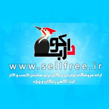 تبلیغات موثر در اینترنت با سلفری