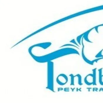 پیک تندباد 310 نمایندگی میرداماد