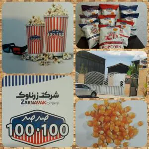 اعطای نمایندگی شرکت زرناوک