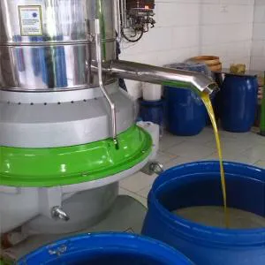 فروش روغن زیتون مستقیم از تولید کننده