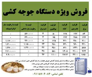 کسب درآمد