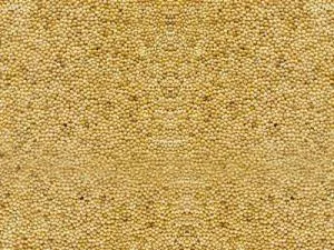 واردات و فروش ارزن طلایی روسیه