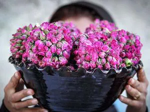 فروش گلاب و عرقیات گیاهی کاشان