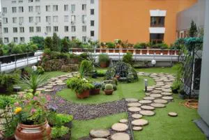 روف گاردن یا بام سبز