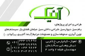 عرضه مستقیم چوب ترمو وود در استان خوزستان