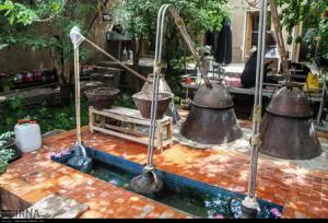 عرضه گلاب و انواع عرقیات گیاهی با کیفیت و قیمت مناسب