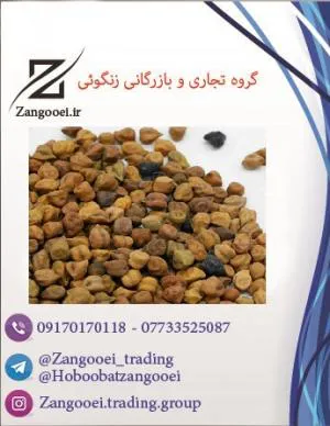 نخود اتیوپی- اذرشهر