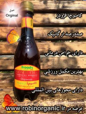 کامبوچا فرودز