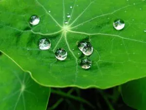 فروش محصولات نانو