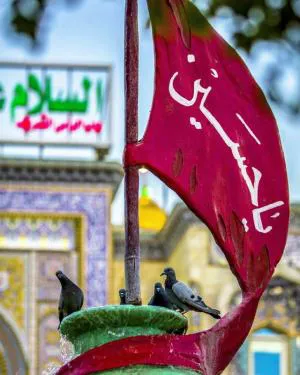 تورزمینی کربلا ( 18 دی ) نقدو اقساط