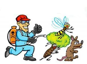 سمپاشی تخصصی پایانه محیط پاک