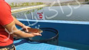 استخر پلیمری در شیراز