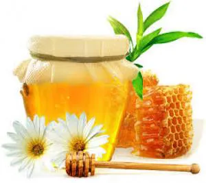 انواع عسل طبیعی و دارویی با قیمت استثنایی