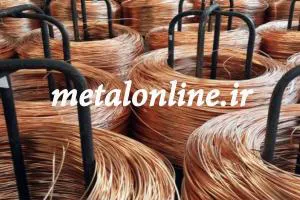 مس‎کاتد در متال آنلاین