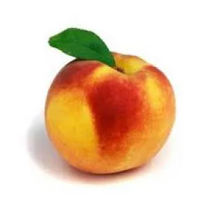 سفارش وساخت ربات تلگرام