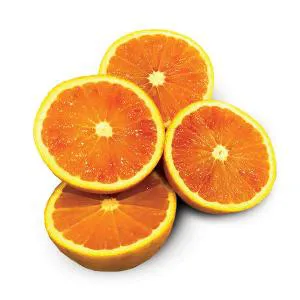  پرتقال توسرخ شمال ( شهسوار )