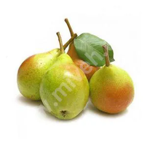 گلابی ( شاه میوه )