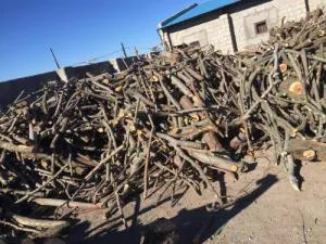 ارتا چوب(فیروزی)