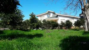 باغ ویلا در نوشهر سیسنگان