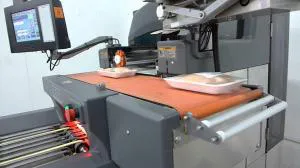 طراحی و ساخت تخصصی انواع ماشین آلات بسته بندی