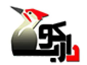 طراحی سایت و ساخت وب سایت بهینه سازی شده دارکوب