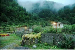 تور طبیعت گردی بام سبز ماسال اردیبهشت 97