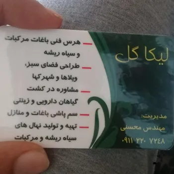 - هرس فنی باغات مرکبات و سیاه ریشه -طراحی فضای سبز در شهرک ها و ویلاها