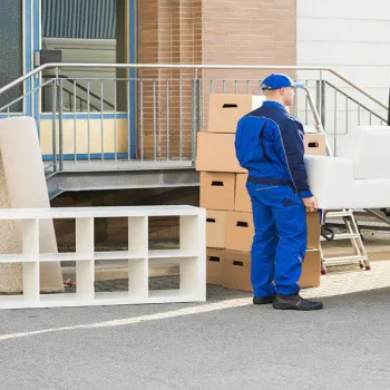 باربری شاهین