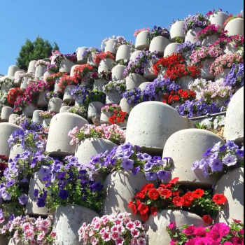 گلدان بتنی گلفوژ فلاورباکس گلفوژ