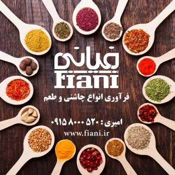 شرکت فیانی تولید و فراوری انواع چاشنی و طعم دهنده های غذایی