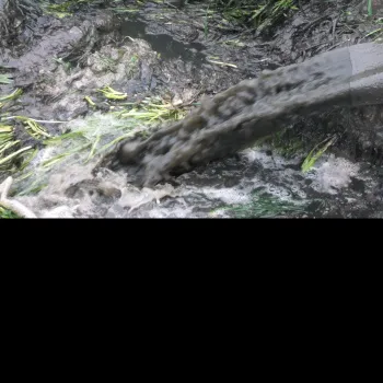 تخلیه لایروبی لجن فاضلاب تصفیه خانه صنعتی و شهری