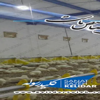 طراحی ساخت و نصب انواع سوله های سبک مقاوم با تاییدیه نظام مهندسی