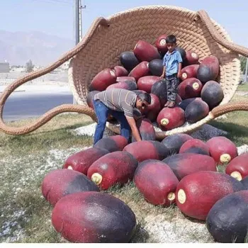 نماد محصولات شهری فایبرگلاس زرین کار