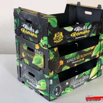 جعبه میوه سیب و فلفل دلمه ای