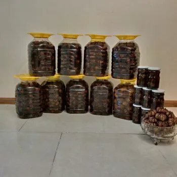 سیرترشی خانگی