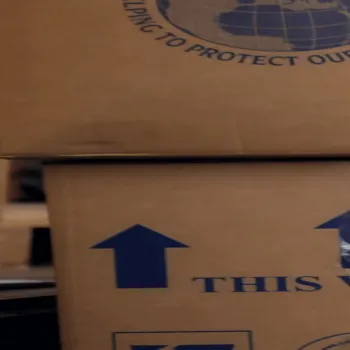 شرکت بسته بندی تهران پک