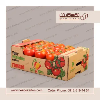 تولید کارتن صادراتی میوه
